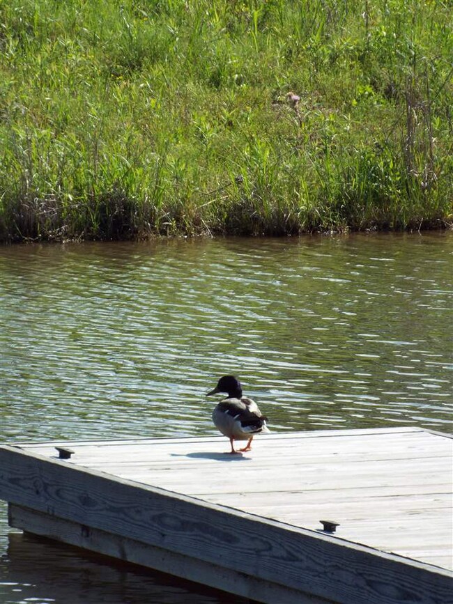 103 Chamberlin Ct unit LOT 11, Madison, MS 39110 - photo 4