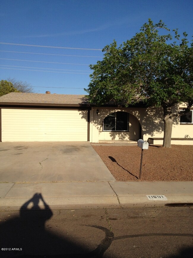 FRONT 1