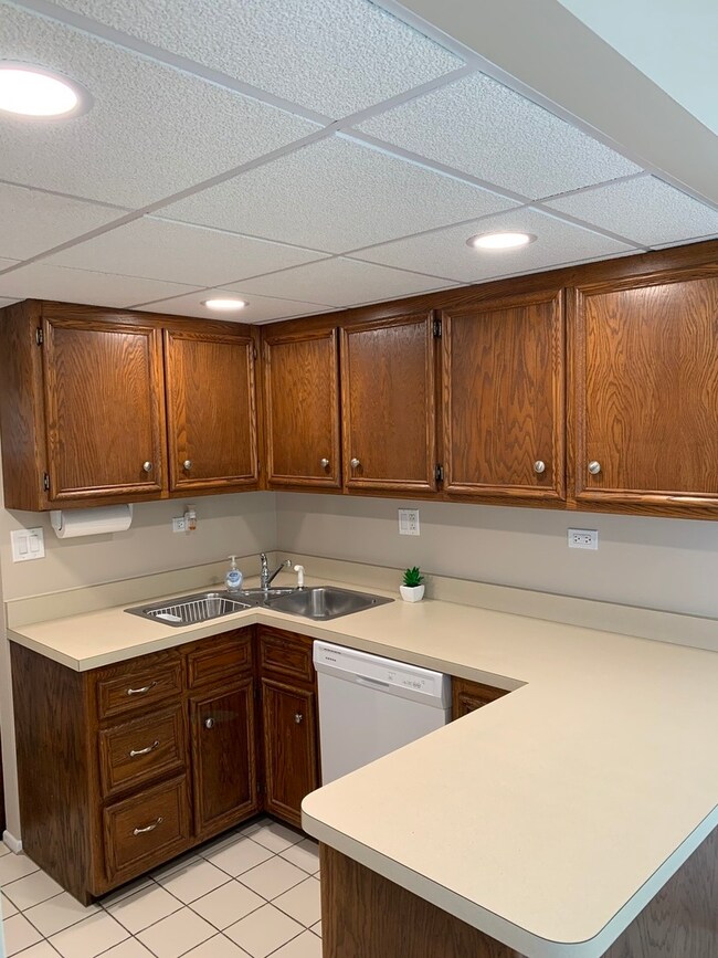 271 W 1st St unit 2A, Elmhurst, IL 60126 - photo 2