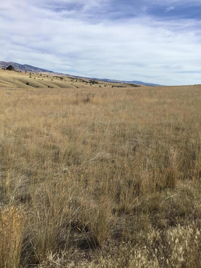 Tbd Diamond Gulch Rd, Townsend, MT 59644 - photo 4