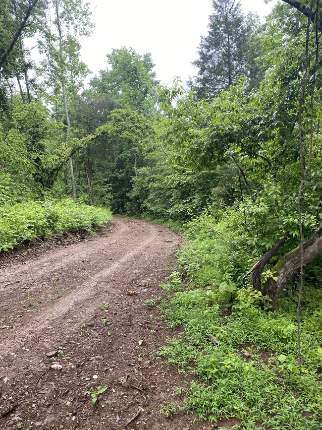 1300 Black Rd, Prospect, TN 38477 - photo 5