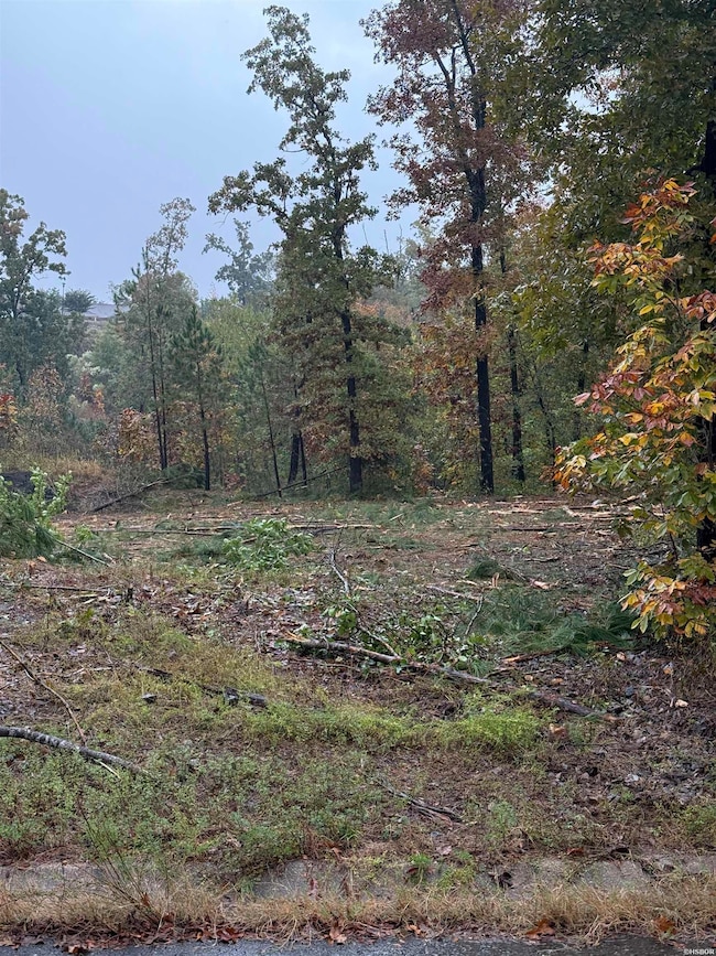 000 Palos Verdes Dr, Hot Springs, AR 71913 - photo 4