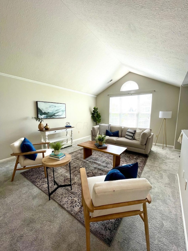 Vaulted Ceilings