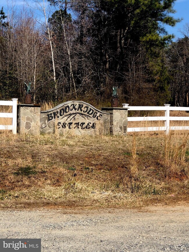 13231 Brooke Ridge Ln, Spotsylvania, VA 22551 - photo 6