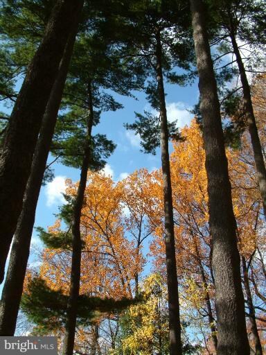 204 N Virginia Ave, Falls Church, VA 22046 - photo 2