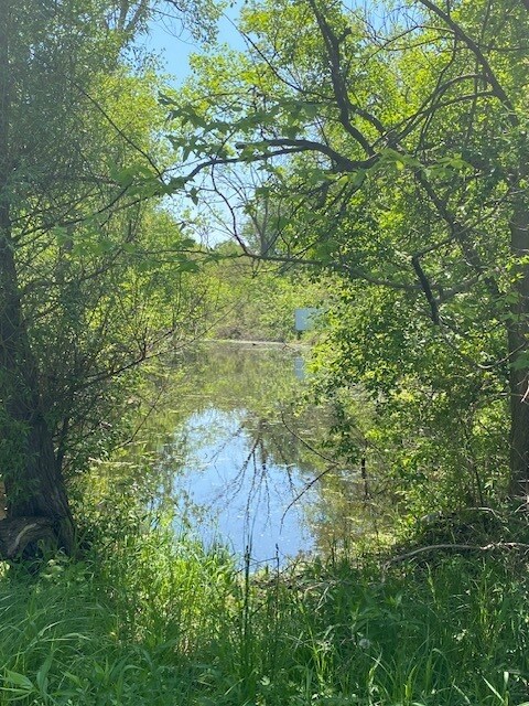 1023 Hooks Ln, Fox Lake, IL 60050 - photo 7