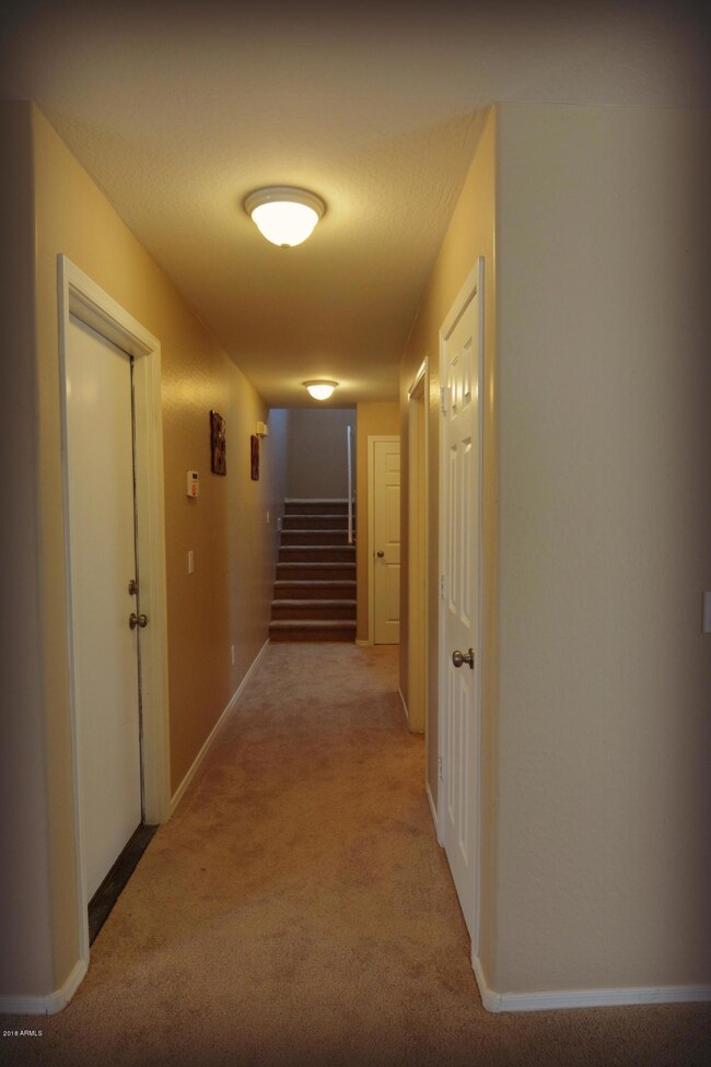 5 Downstairs hallway