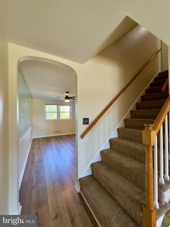 1011 Linden Ave, Halethorpe, MD 21227 - photo 7