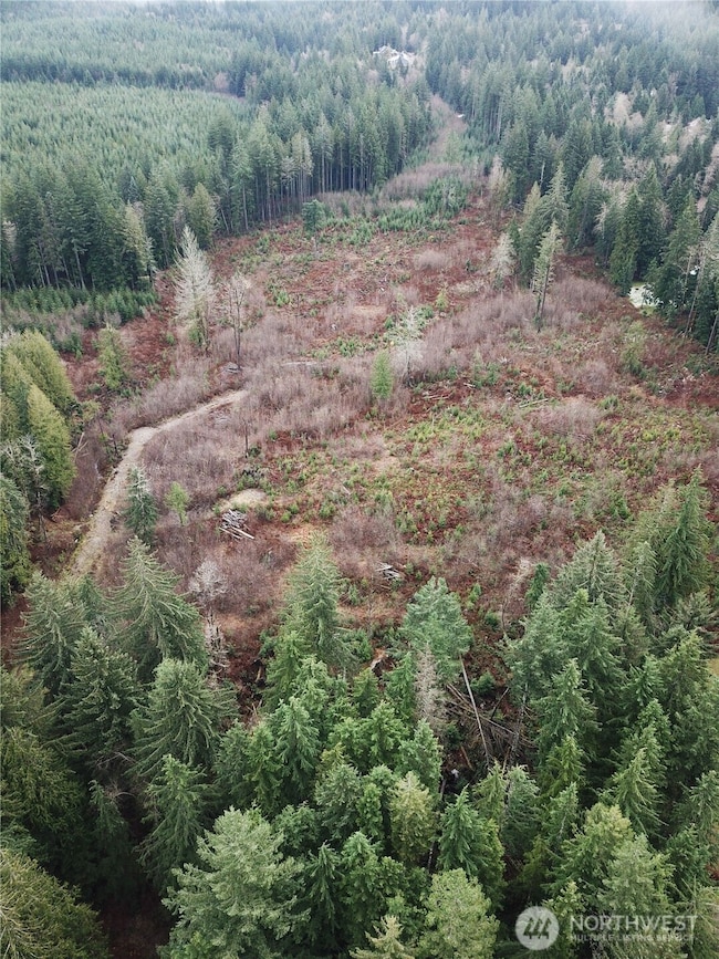 0 364th Ave SE, Maple Valley, WA 98038 - photo 2