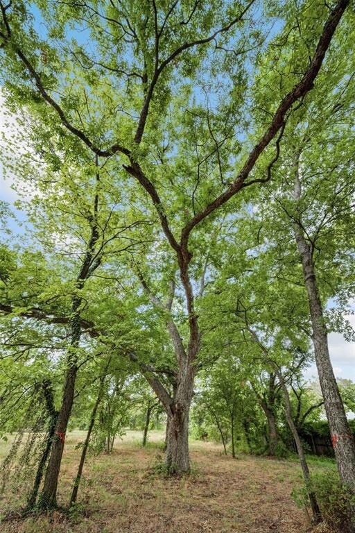 1211 E Dove Rd, Southlake, TX 76092 - photo 3