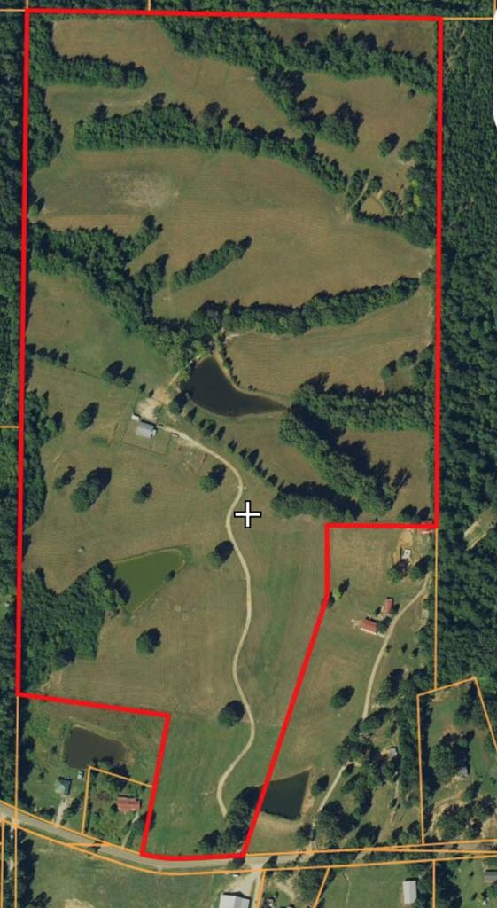 230 County Road 461, Oxford, MS 38655 - photo 3