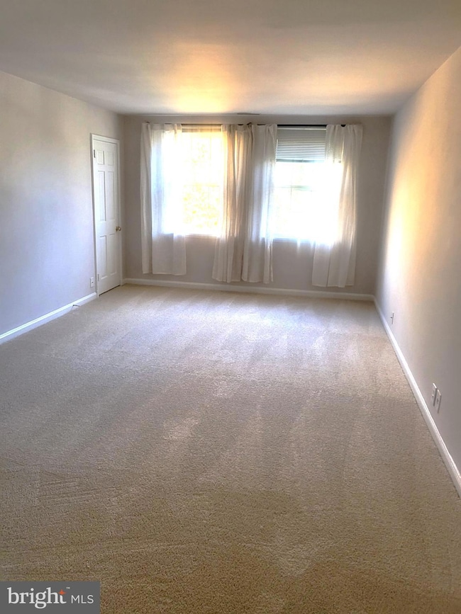 3279 S Stafford St unit B1, Arlington, VA 22206 - photo 4