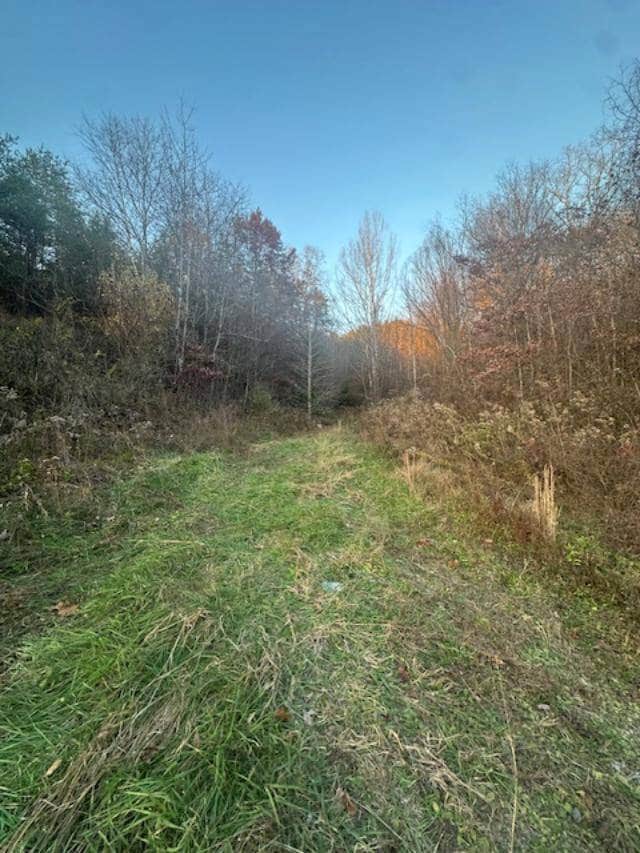 325 Cane Creek Rd, West Liberty, KY 41472 - photo 7