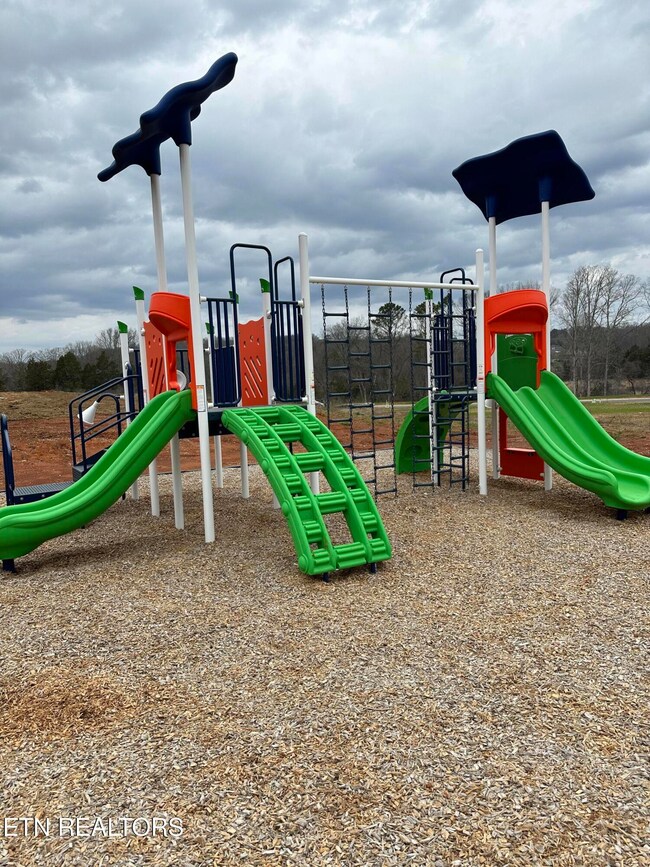 8050 Tree Line Ln, Corryton, TN 37721 - photo 4