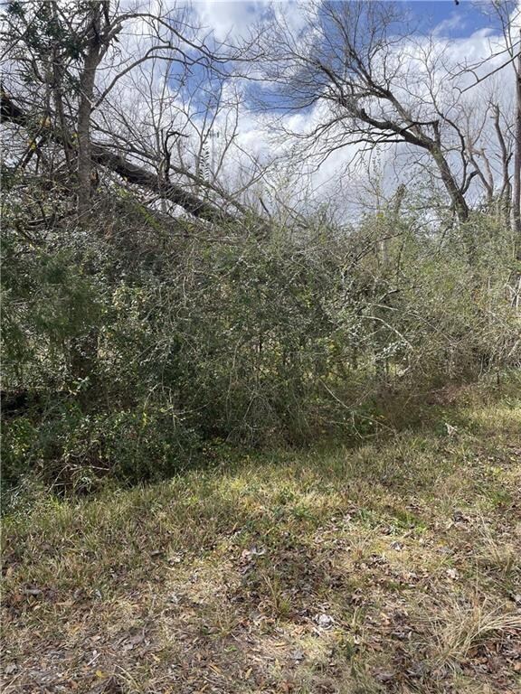 1779 Mitchell Rd, Vinton, LA 70668 - photo 3