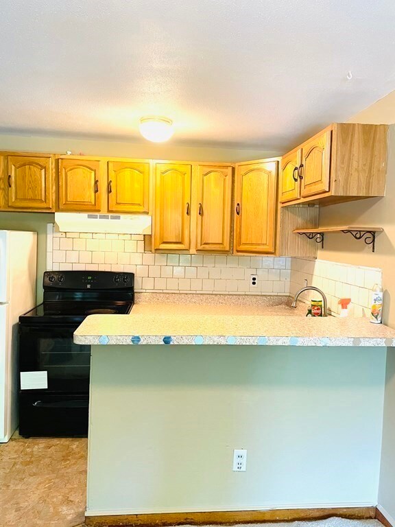 69 W Elm Terrace unit 11, Brockton, MA 02301 - photo 2