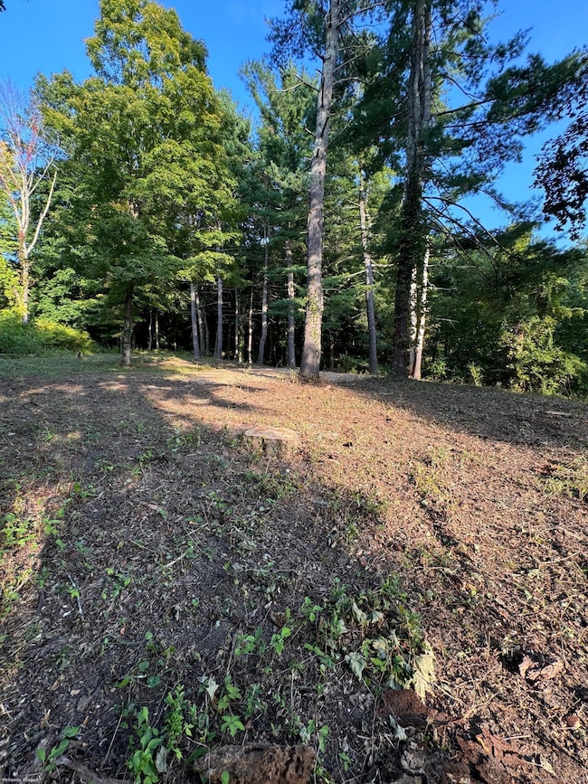 0 Cornwall Bridge Rd unit 170559925, Sharon, CT 06069 - photo 5