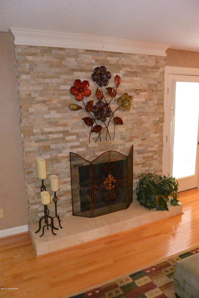 Living Room Fireplace