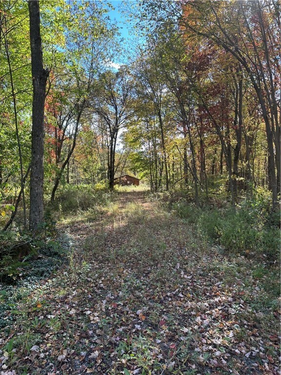 0 Wisconsin 95, Alma Center, WI 54611 - photo 2