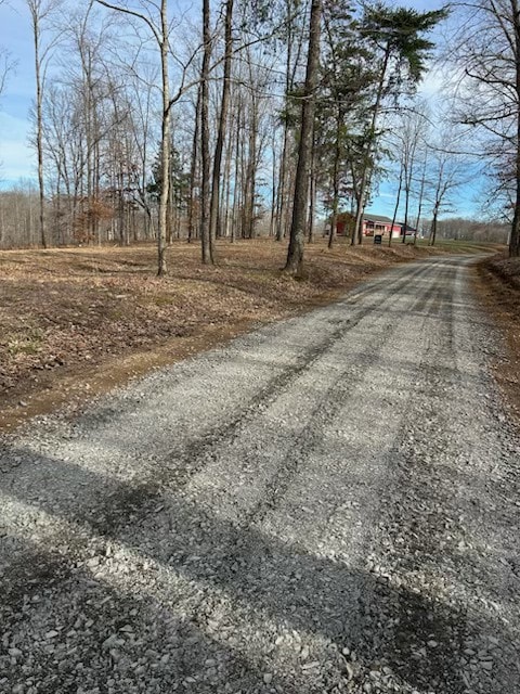 Bear Creek Road