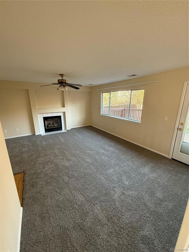 3710 Licorice Trail, Castle Rock, CO 80109 - photo 7