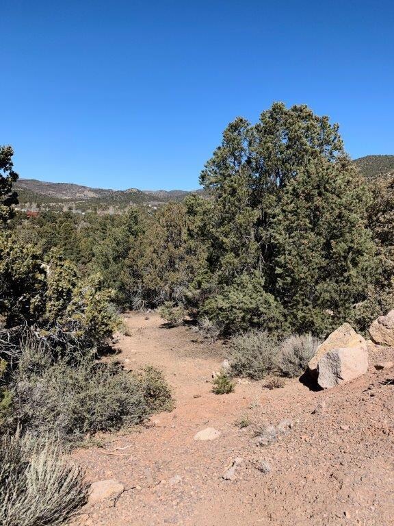 Lot View 2