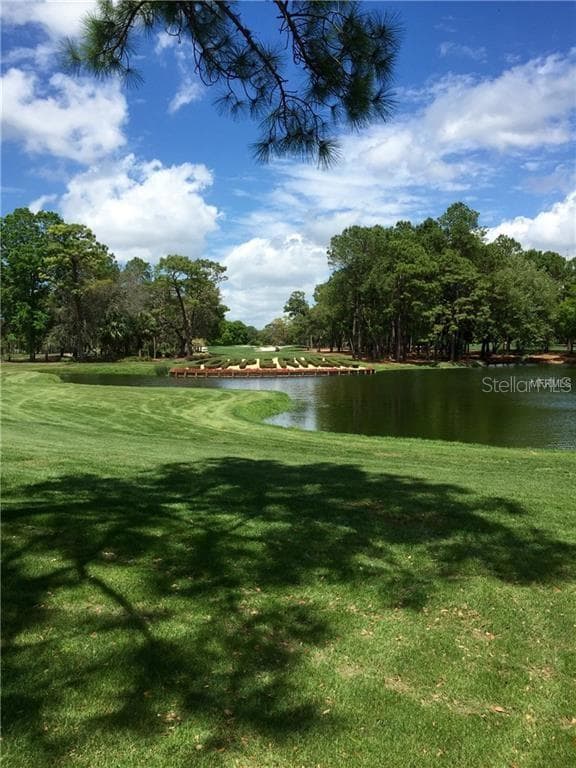 36750 Us Highway 19 N unit 2879, Palm Harbor, FL 34684 - photo 3