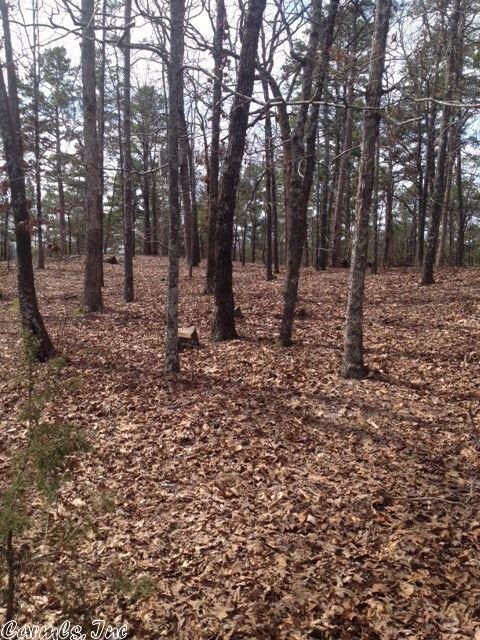 000 Ginger Hill Rd, Little Rock, AR 72223 - photo 2