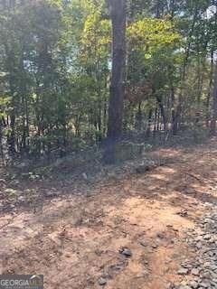 280 Eastwood Path, Rockmart, GA 30153 - photo 6