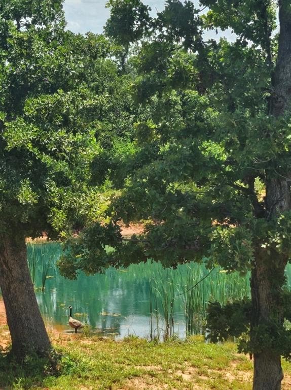 Water view