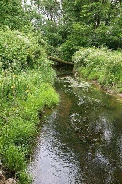 395 Eagle Nest Dr, Chesterton, IN 46304 - photo 5