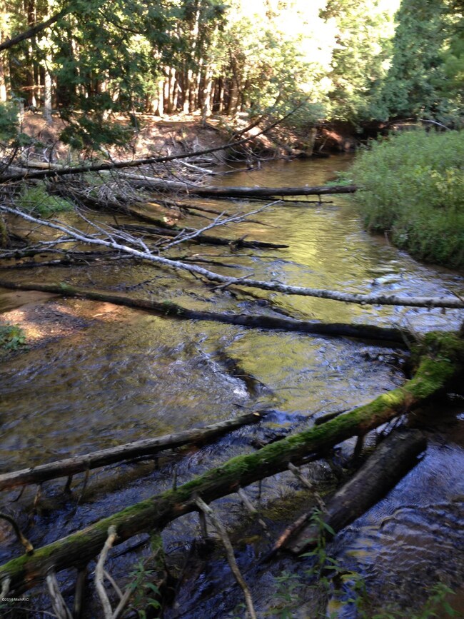 Pine creek 3