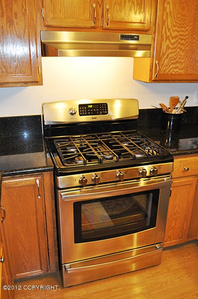 6-New stainless steel gas stove and conv