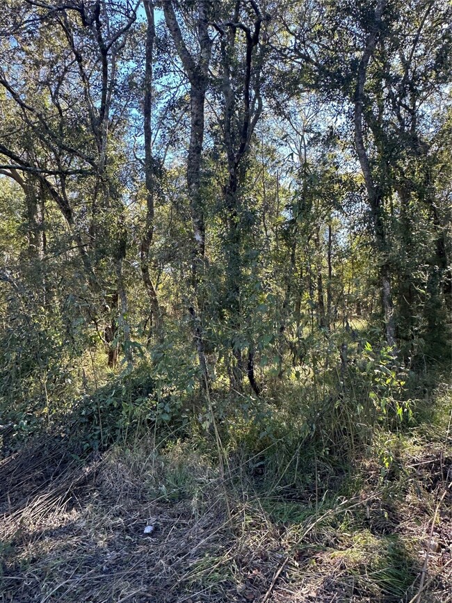 00 Oak Forest Dr, Guy, TX 77444 - photo 7