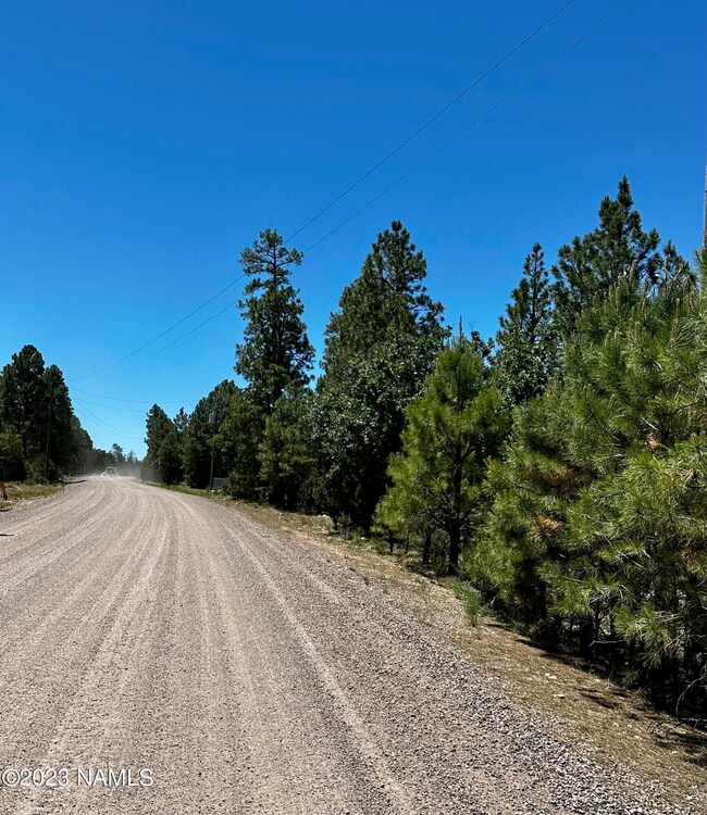 5617 Twin Oaks Loop unit 66, Happy Jack, AZ 86024 - photo 5