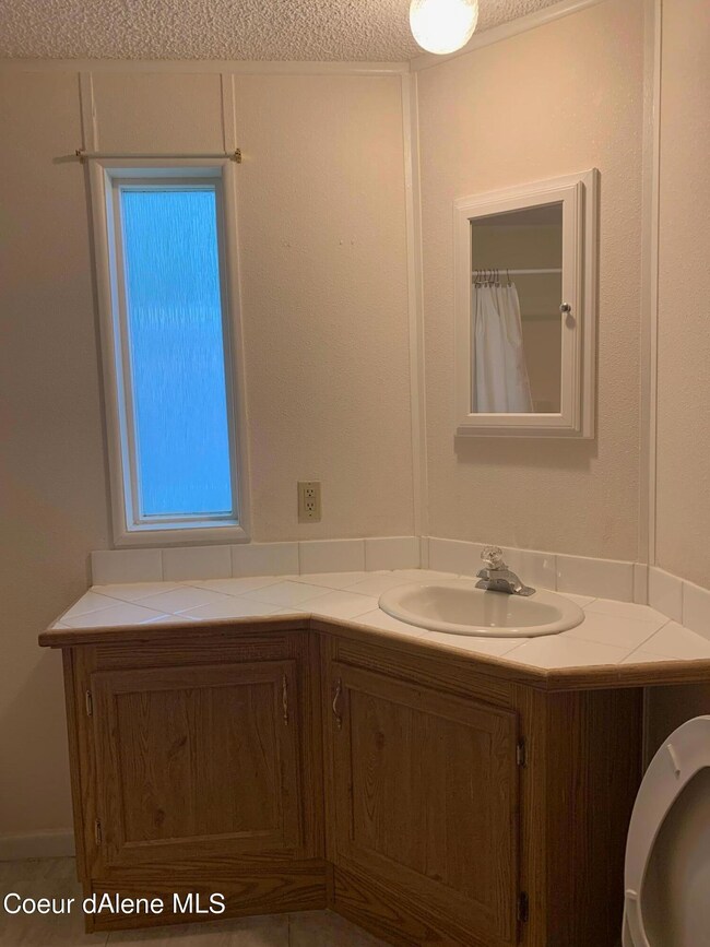 Corner Sink