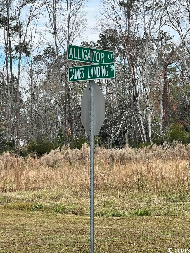 Lot 19 Alligator Ct, Conway, SC 29526 - photo 6