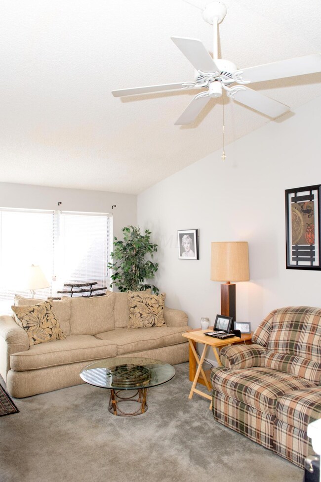 Vaulted Ceiling