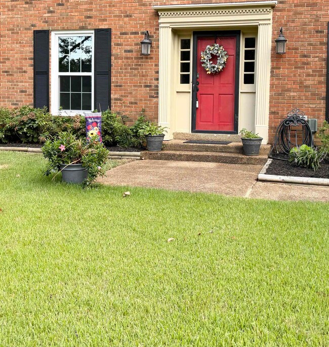 Landscaping and Curb Appeal