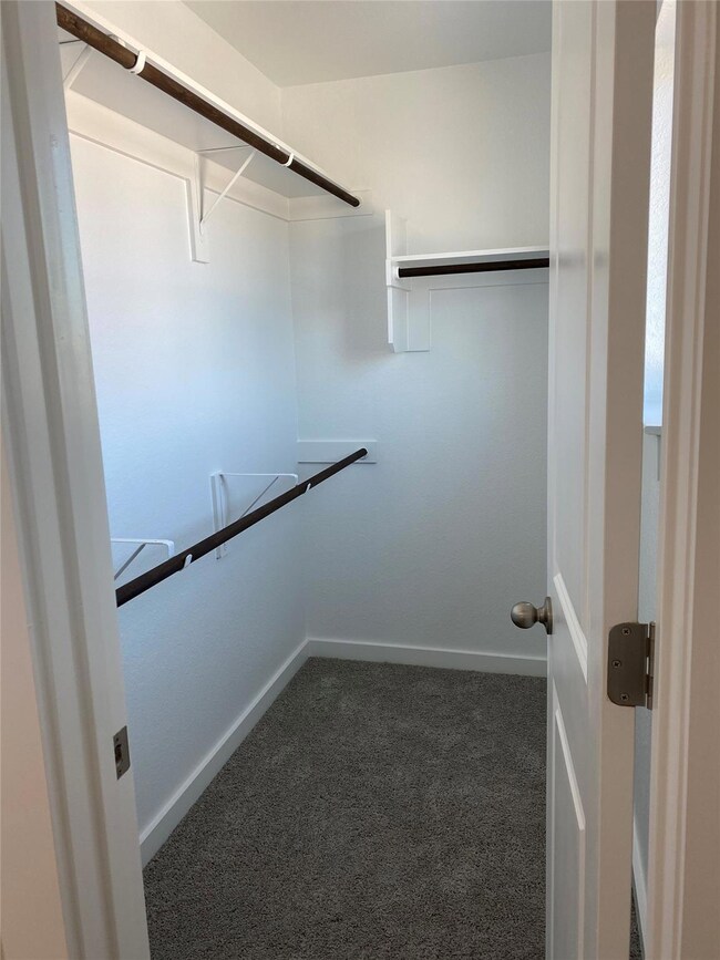 Walk in closet featuring carpet