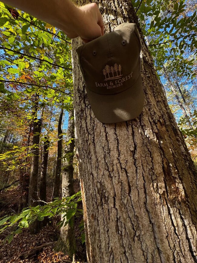 21 Lee Road 254, Salem, AL 36874 - photo 7