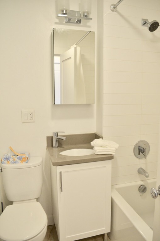 36 E Springfield St unit 4, Boston, MA 02118 - photo 6