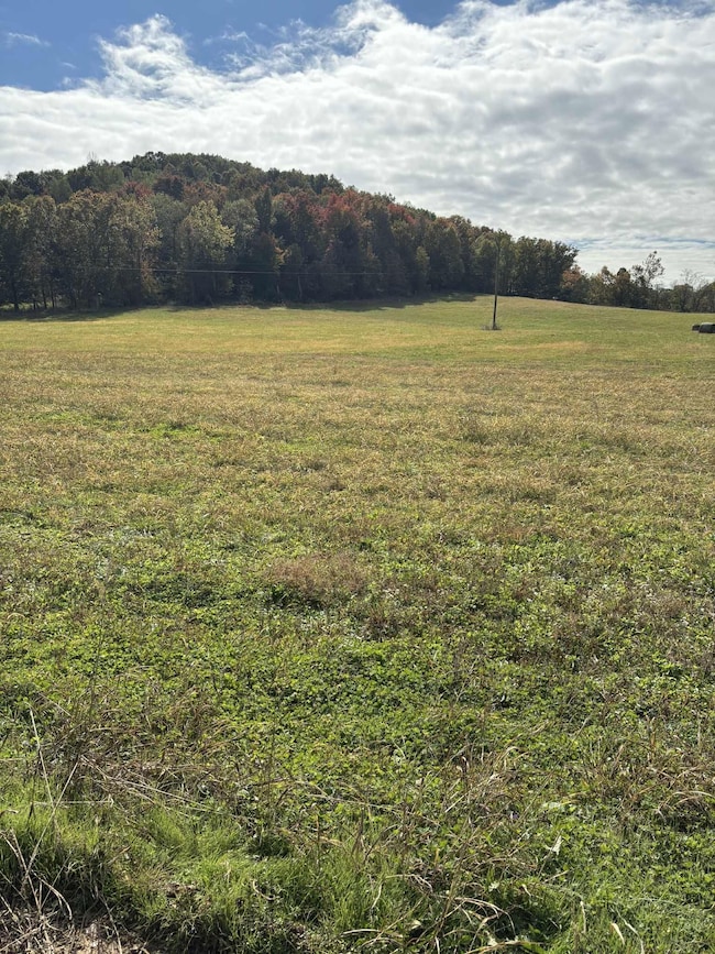 Pine Grove Ch Rd, Vanceburg, KY 41179 - photo 4