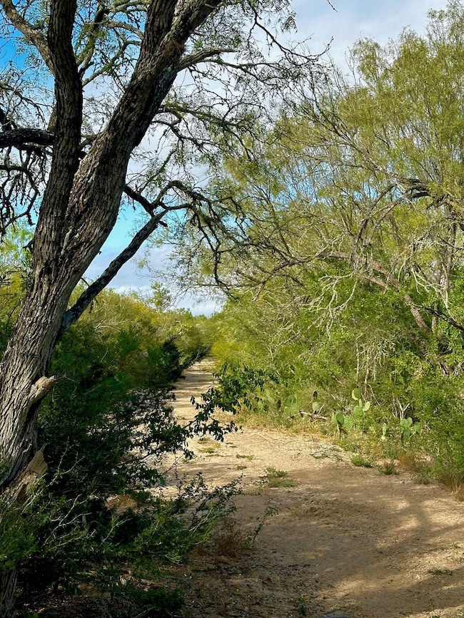 343 County Road 436, Three Rivers, TX 78071 - photo 5