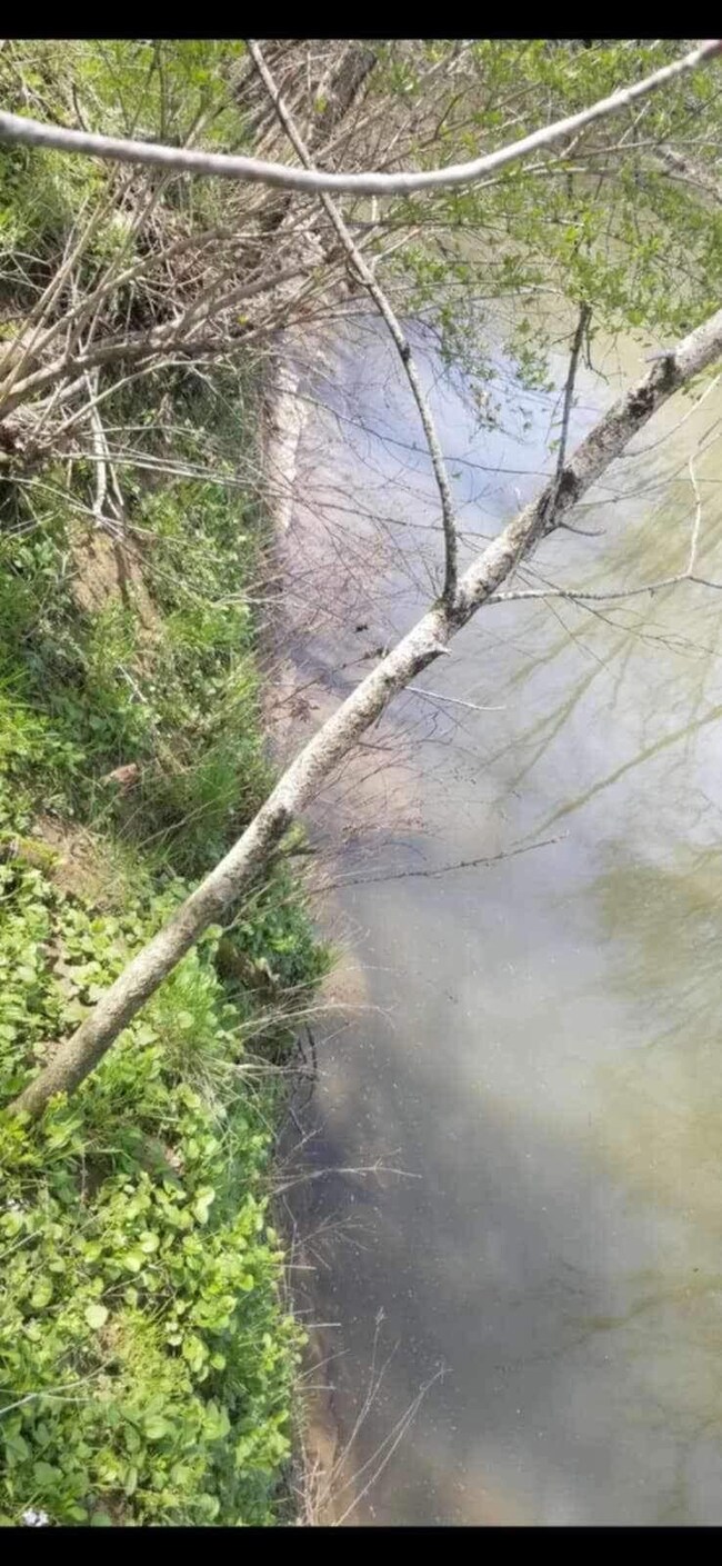 99 Huffman Rd, Harrodsburg, KY 40330 - photo 4