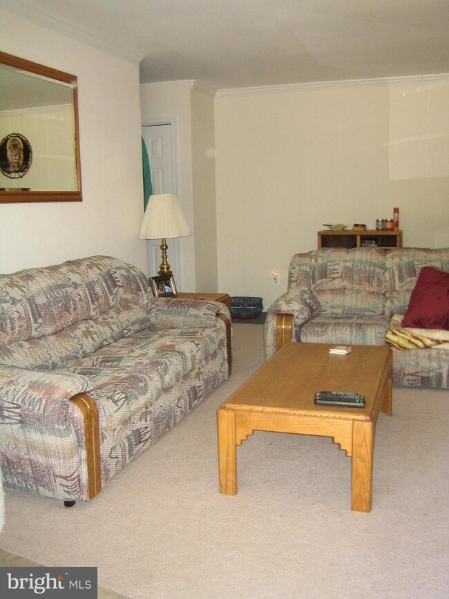 3332 Spring Ln unit D-26, Baileys Crossroads, VA 22041 - photo 6