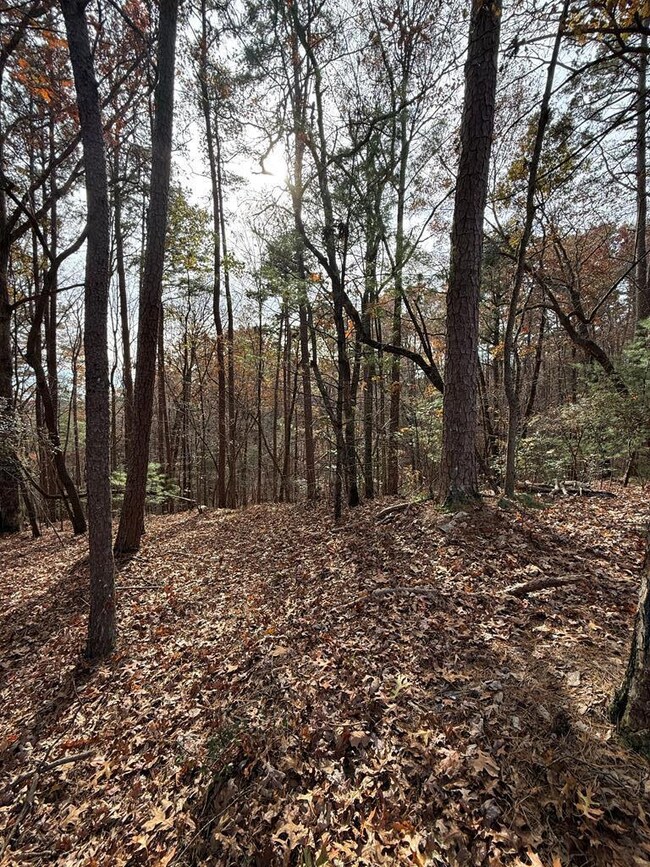 12 N Ridge Dr, Ellijay, GA 30540 - photo 2