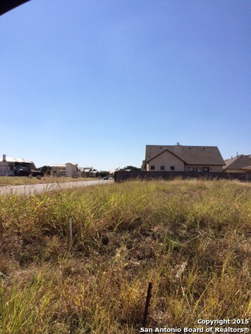 1207 Gruene Rd, New Braunfels, TX 78130 - photo 5