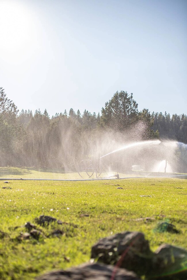 13005 Keno Worden Rd, Klamath Falls, OR 97603 - photo 7