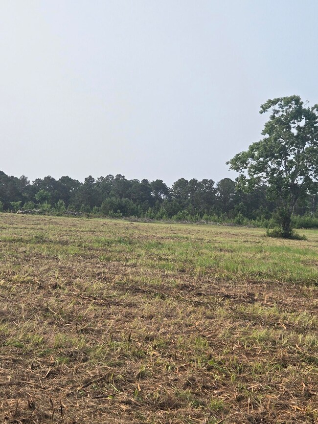 20250531_091734_resized